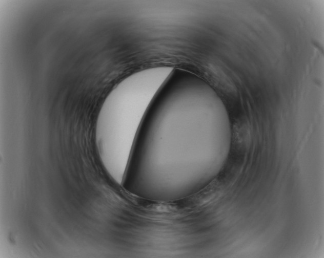 X0000097830223200803140835