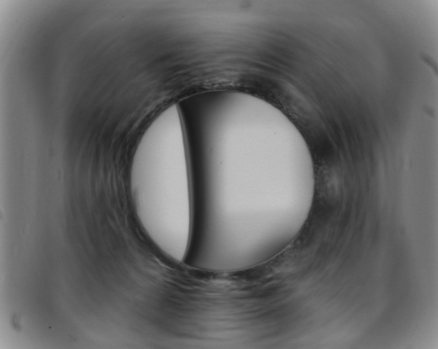 X0000097830224200803140835