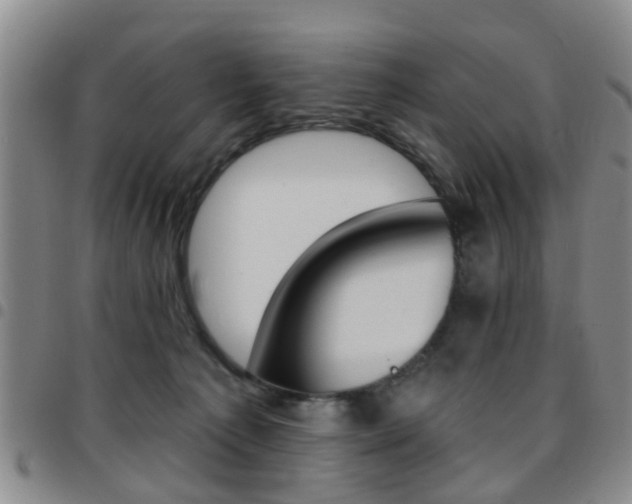 X0000097830225200803140835