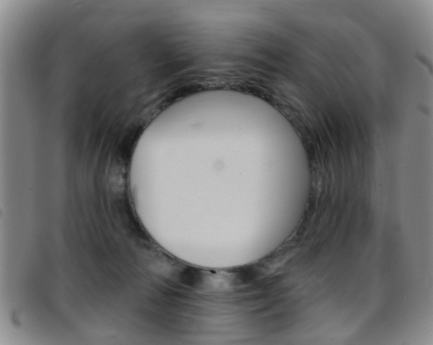 X0000097830226200803140835