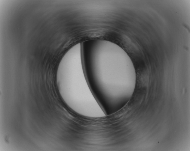X0000097830227200803140835