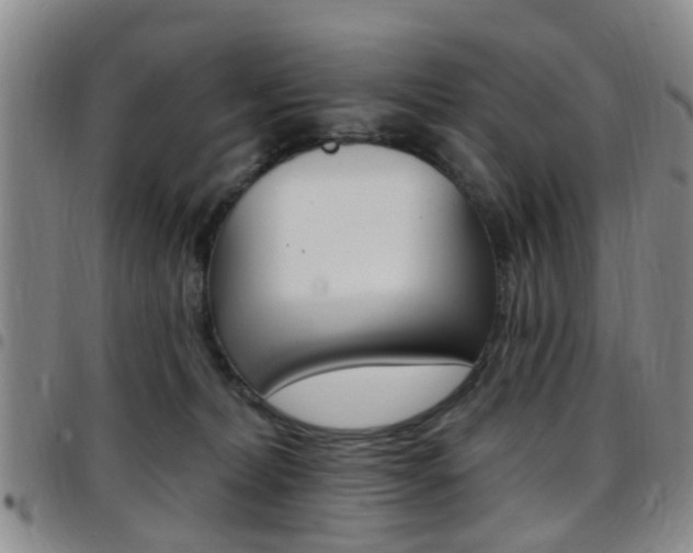 X0000097830228200803140835