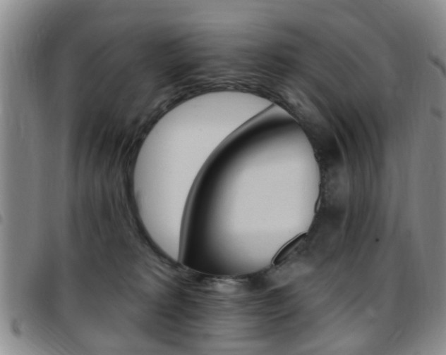 X0000097830229200803140835