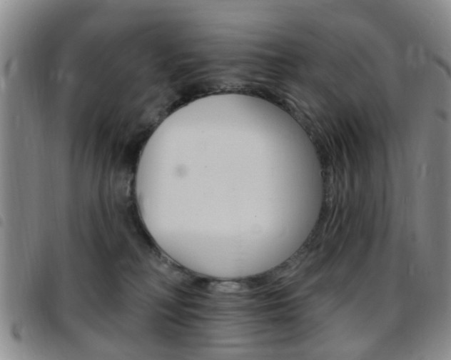 X0000097830230200803140835
