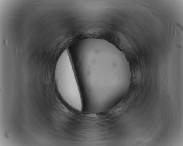X0000097830231200803140835