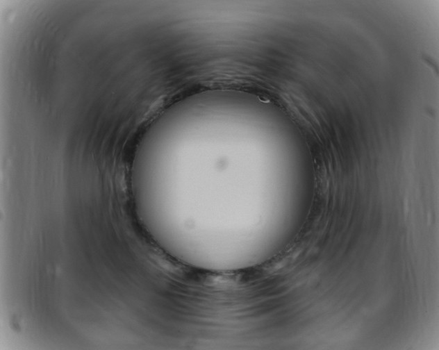 X0000097830232200803140835