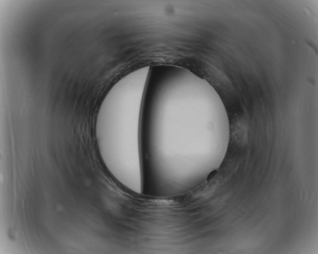 X0000097830233200803140835
