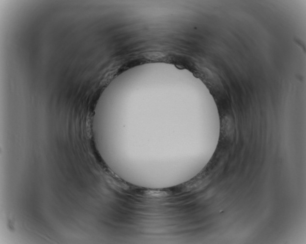 X0000097830234200803140835
