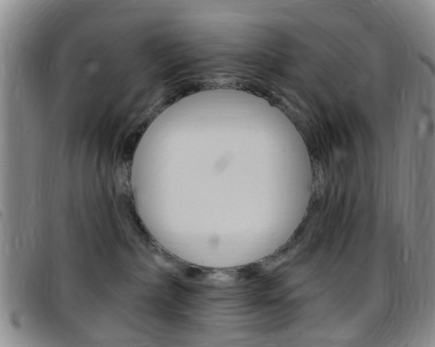 X0000097830236200803140835