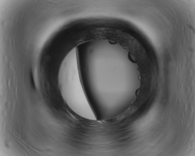 X0000097830239200803140835