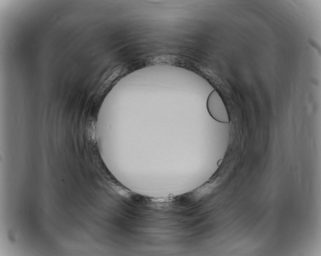X0000097830240200803140835