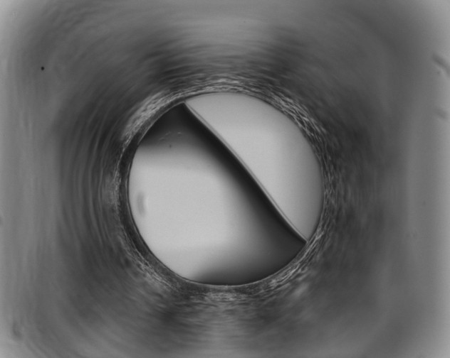 X0000097830242200803140834