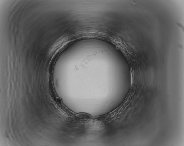 X0000097830243200803140834