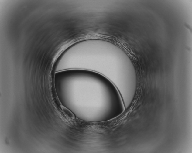 X0000097830244200803140834
