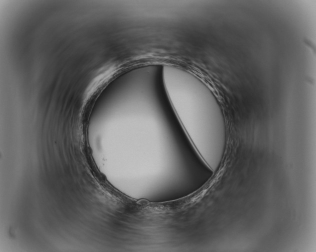 X0000097830245200803140834