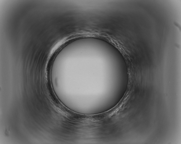 X0000097830246200803140834