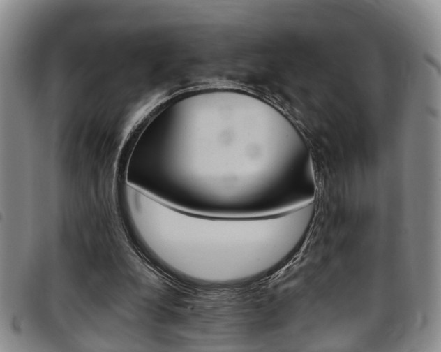 X0000097830248200803140834