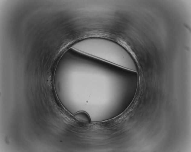 X0000097830249200803140834