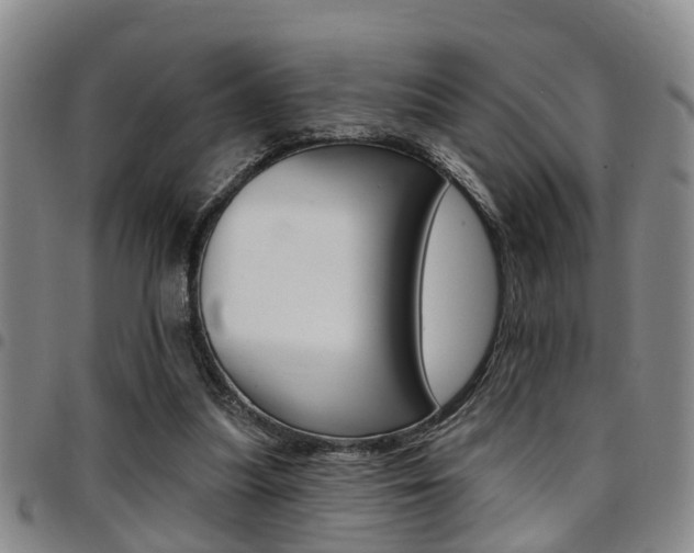 X0000097830251200803140834