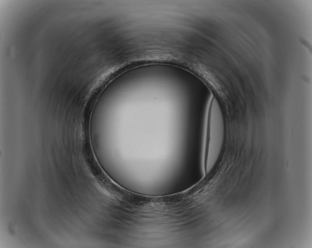 X0000097830252200803140834