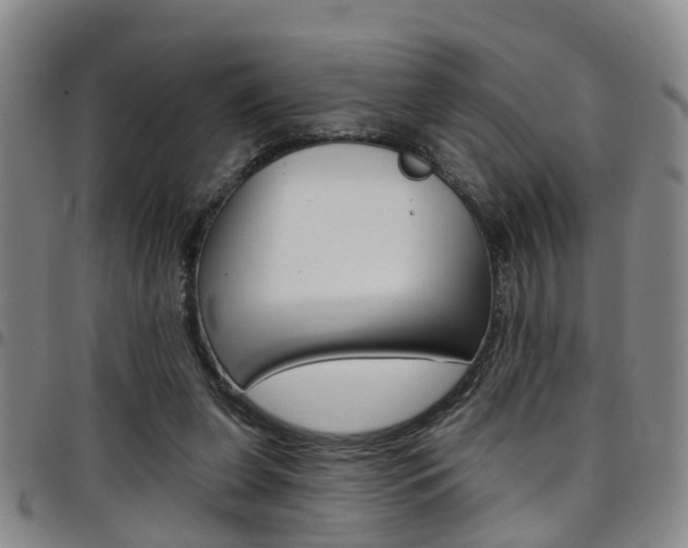 X0000097830255200803140834