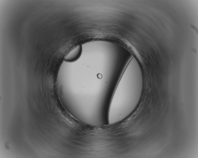 X0000097830257200803140835