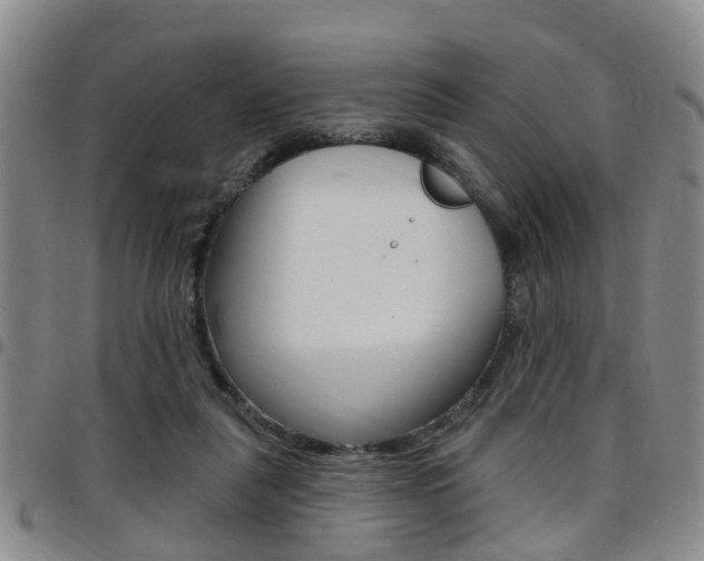 X0000097830259200803140835