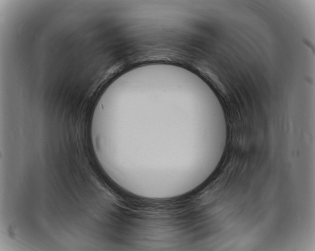 X0000097830260200803140835