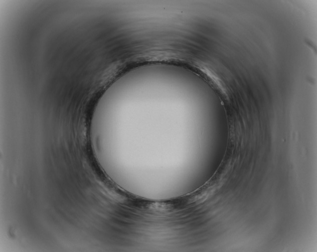 X0000097830261200803140835