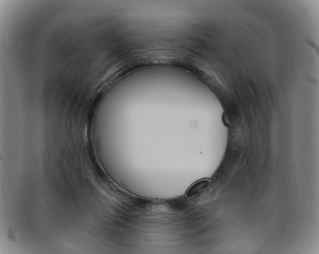 X0000097830262200803140835