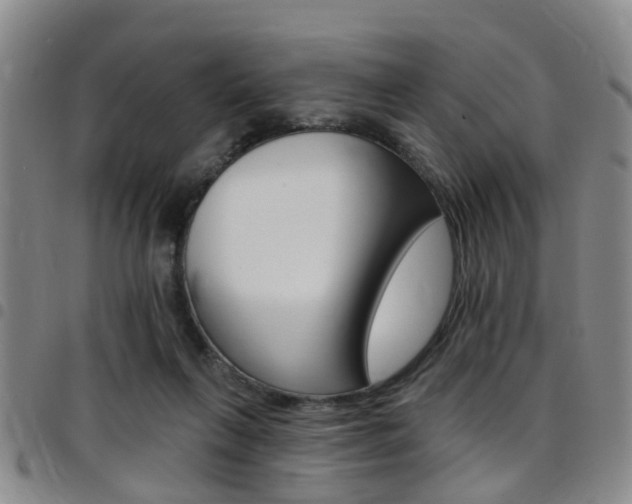 X0000097830263200803140835