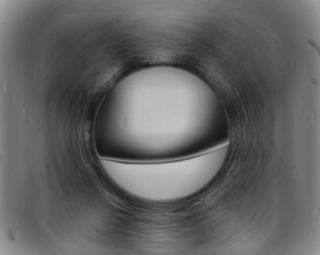 X0000097830264200803140835