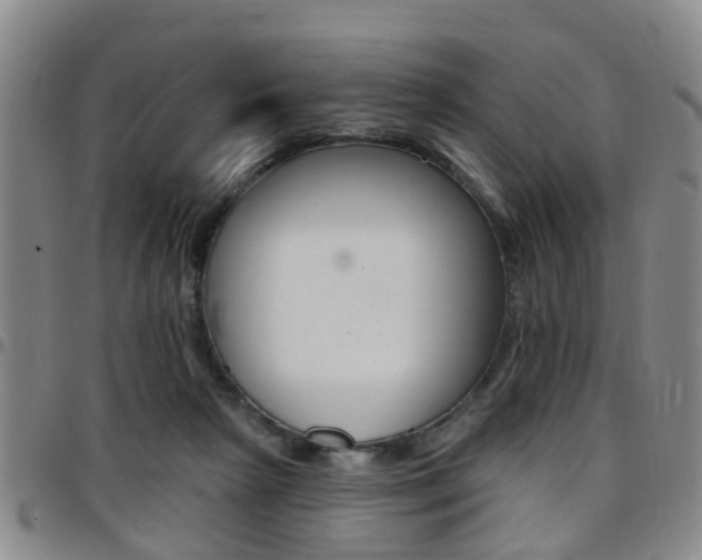 X0000097830265200803140835