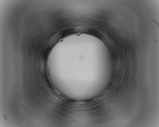 X0000097830266200803140835