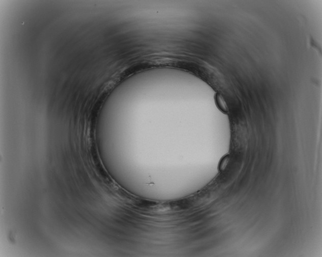 X0000097830267200803140835
