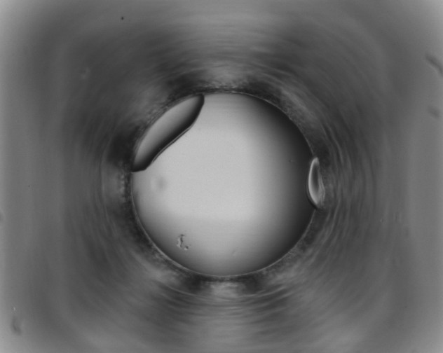 X0000097830268200803140835