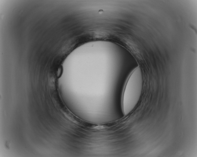 X0000097830269200803140835