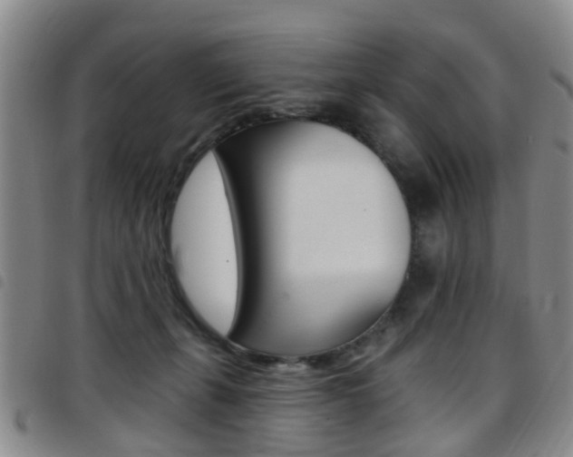 X0000097830271200803140835