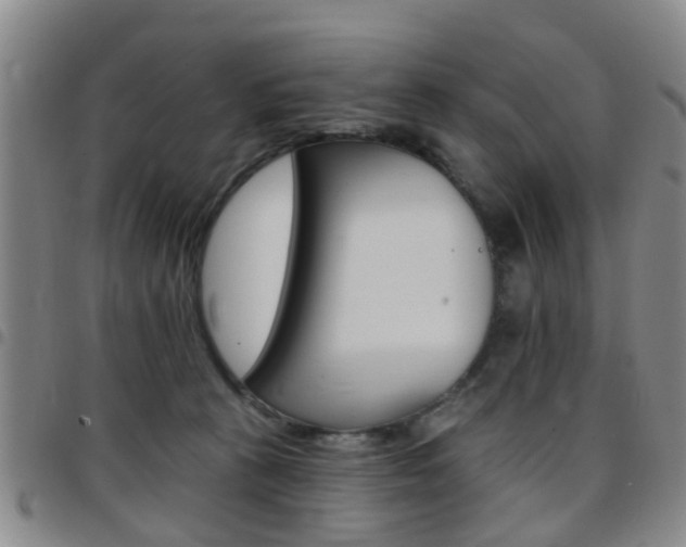 X0000097830273200803140835