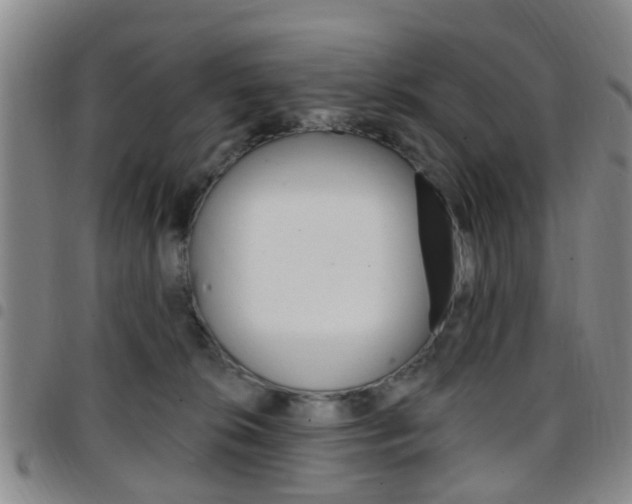 X0000097830276200803140835