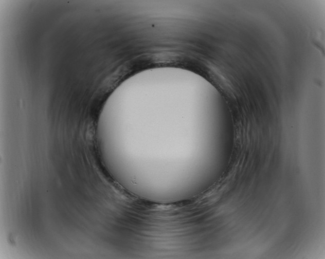 X0000097830277200803140835