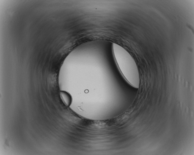 X0000097830278200803140835