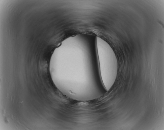 X0000097830279200803140835