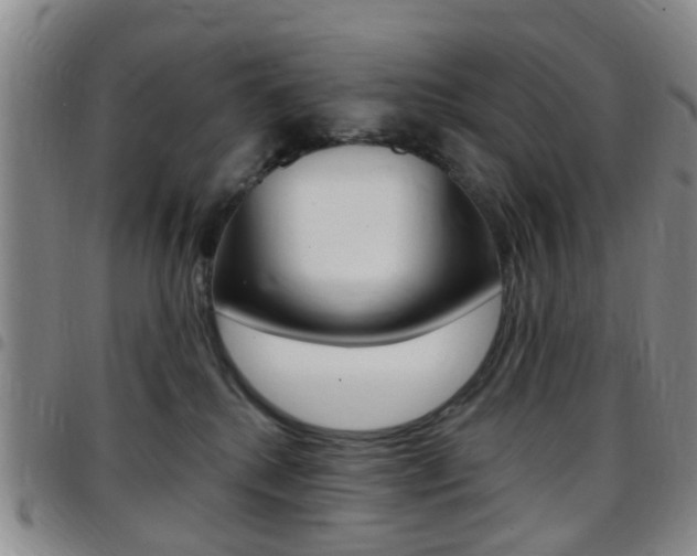 X0000097830280200803140835