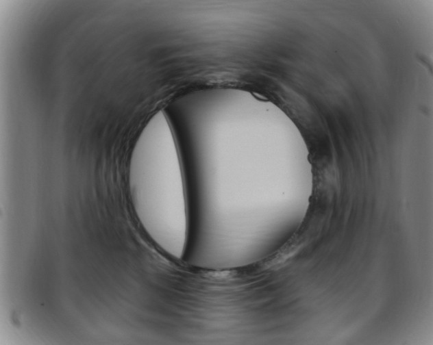 X0000097830281200803140835