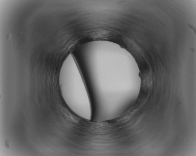 X0000097830282200803140835