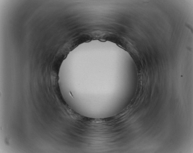 X0000097830283200803140835
