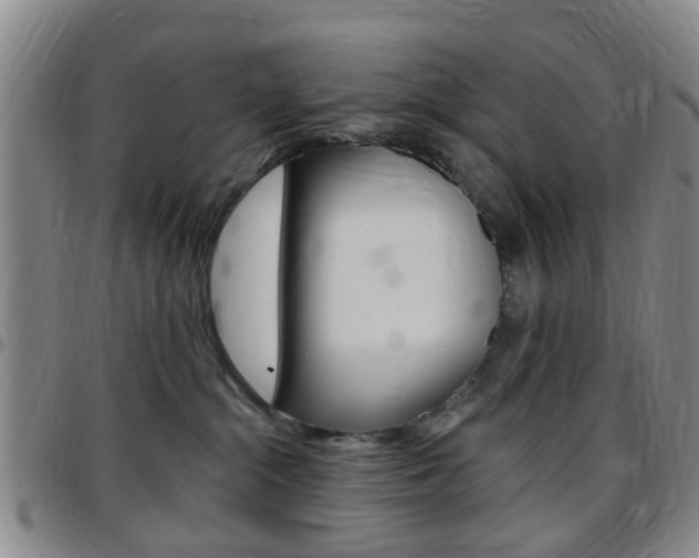 X0000097830284200803140835
