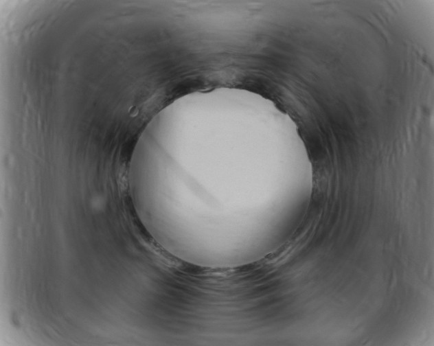 X0000097830285200803140835
