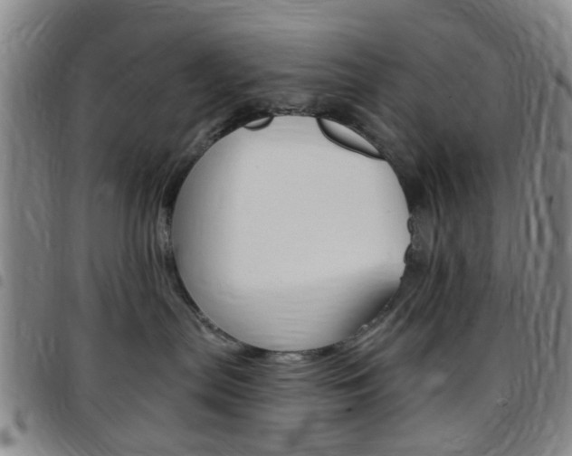 X0000097830287200803140835